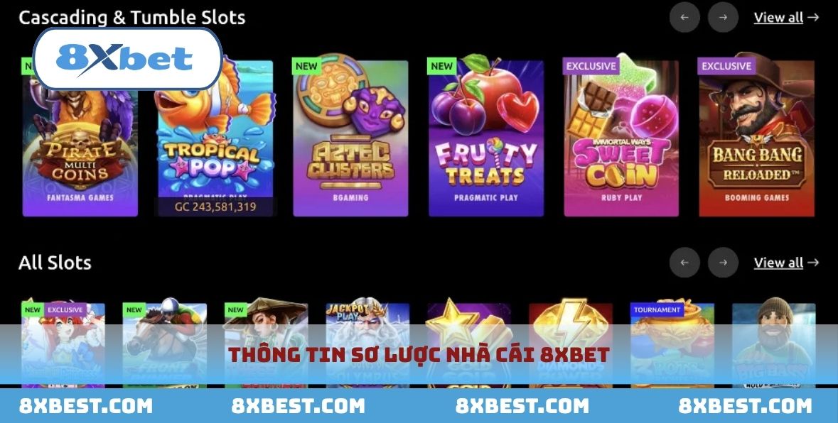Tổng quan chung về trang web 8xbet.