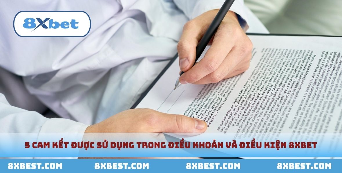Các quy định quan trọng trong điều khoản và điều kiện tại 8xbet