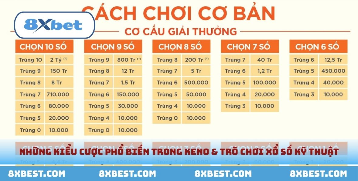 Hướng dẫn những kiểu cược cơ bản trong game