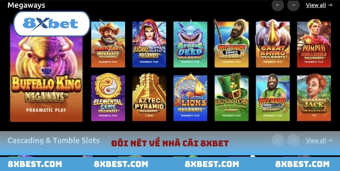 Giới thiệu chi tiết về nhà cái 8xbet